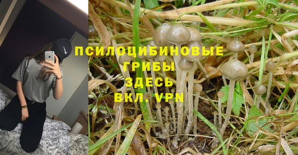 кристаллы Горняк