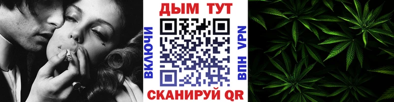 купить наркоту  Саранск  даркнет как зайти  Конопля SATIVA & INDICA 